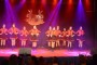 Thumbs/tn_Dansmarieke festival 2015 182.jpg